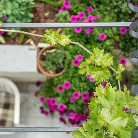 Rogulj アパート *