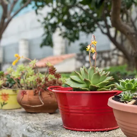 Rogulj アパート トロギール